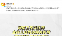 娱乐圈吃瓜暗语大全最新,吃瓜暗语大全全解析